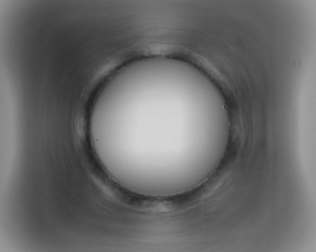 X0000113750683200910071106