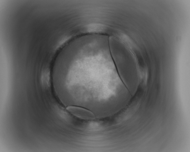 X0000113750684200910071106