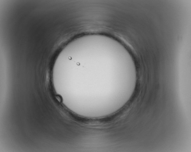 X0000113750685200910071106