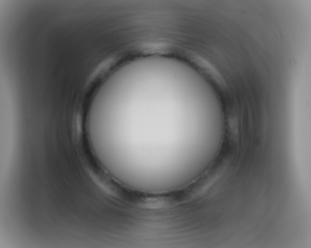 X0000113750686200910071106