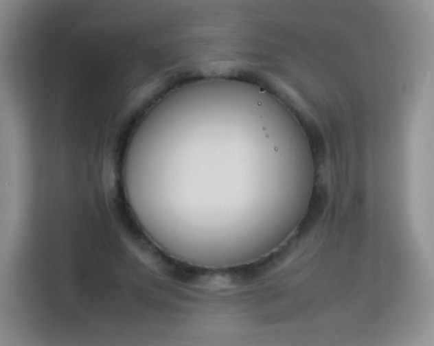 X0000113750687200910071106