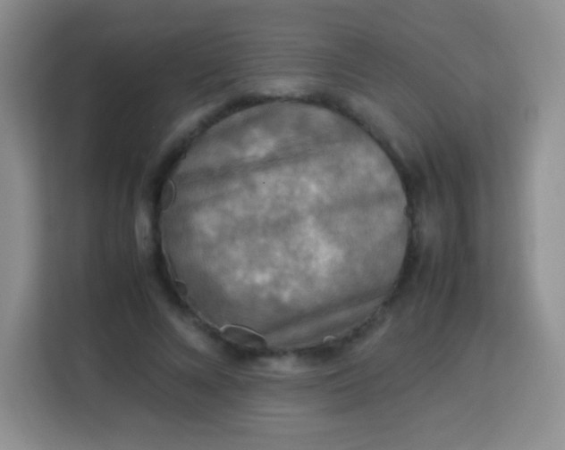 X0000113750688200910071106