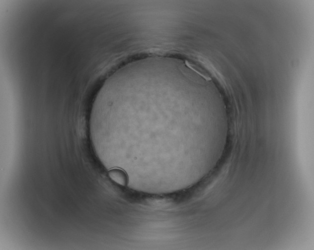 X0000113750689200910071106