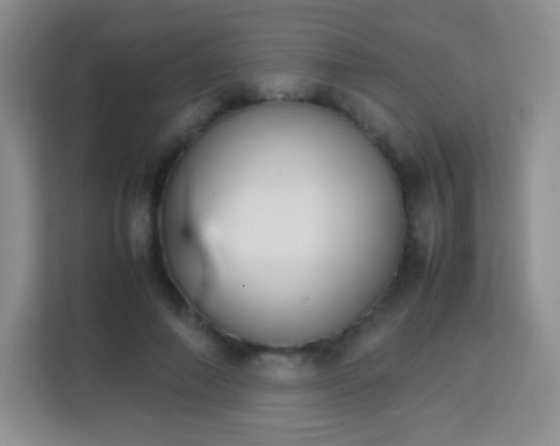 X0000113750690200910071106