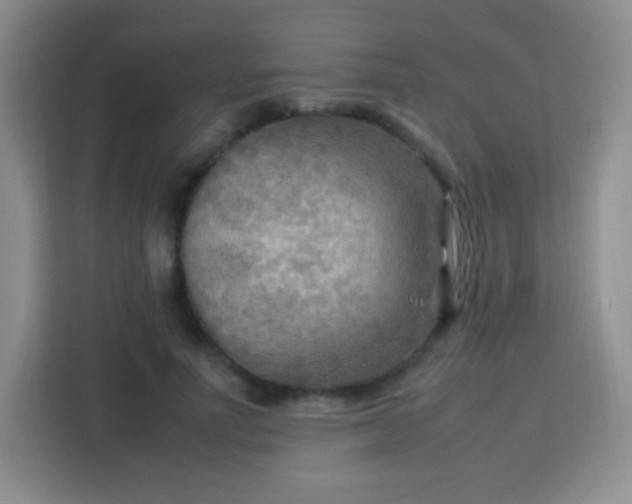 X0000113750691200910071106