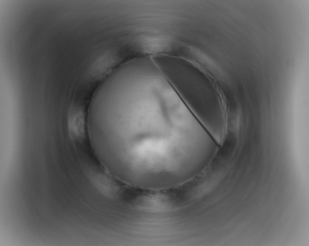 X0000113750696200910071106