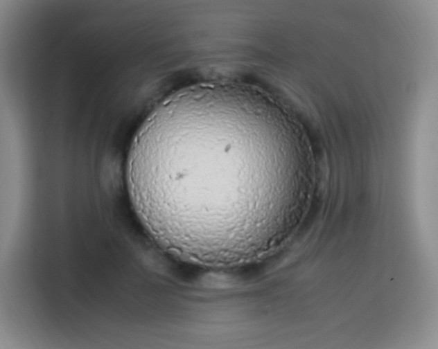 X0000113750699200910071106