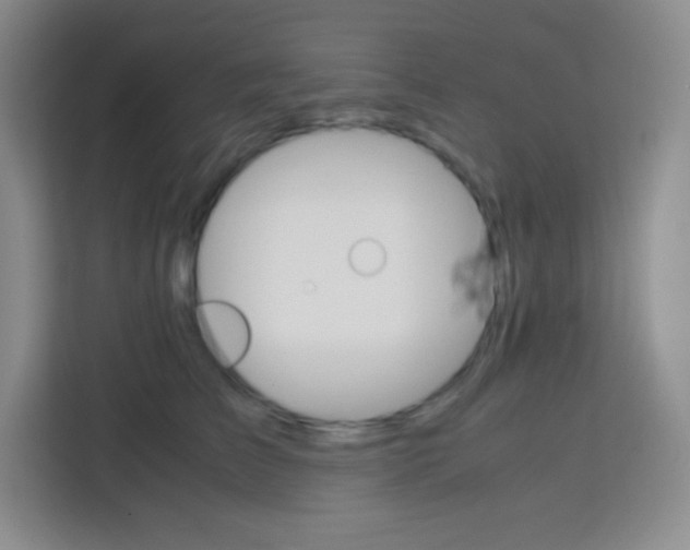 X0000113750709200910071106