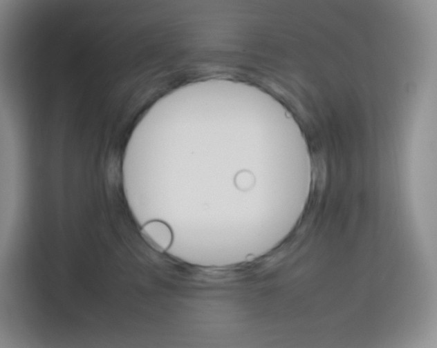 X0000113750713200910071106