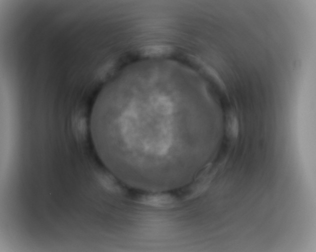 X0000113750716200910071106