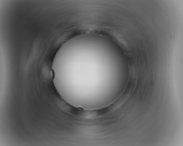 X0000113750719200910071106