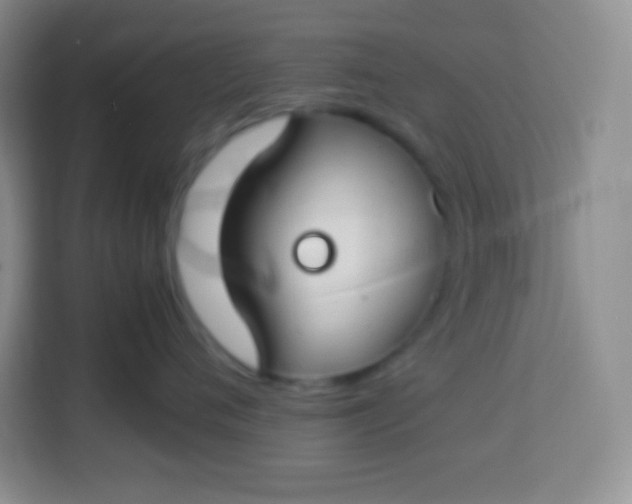 X0000113750720200910071106