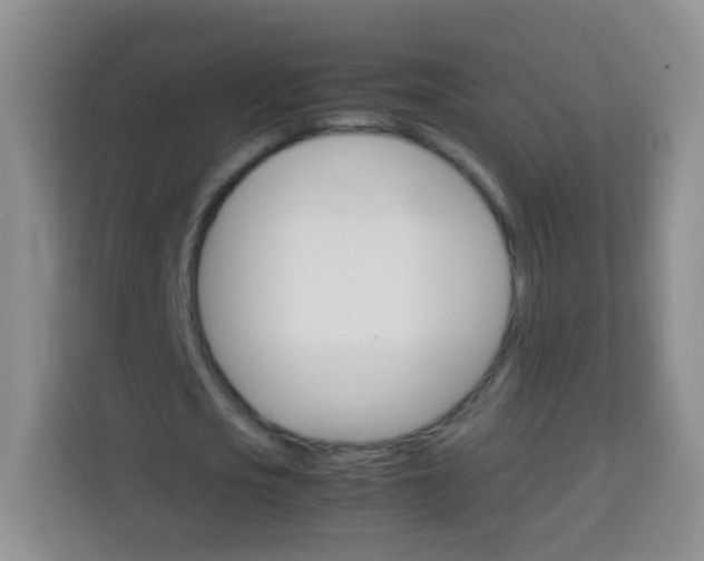 X0000113750721200910071105