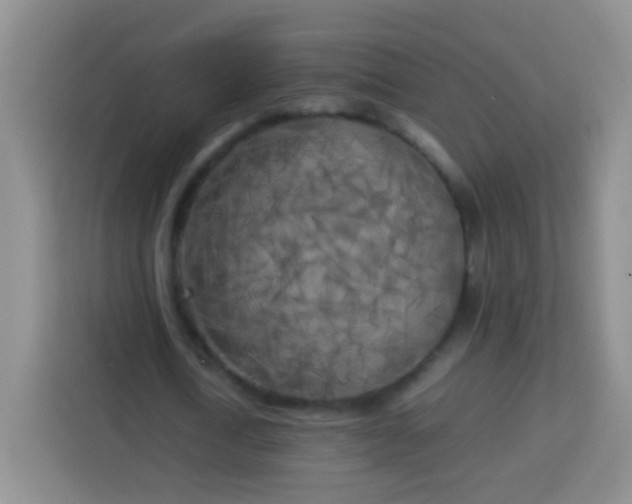 X0000113750722200910071105