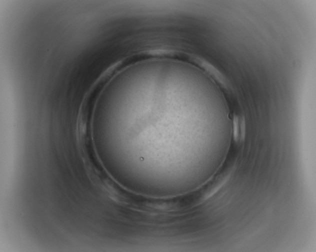 X0000113750723200910071105