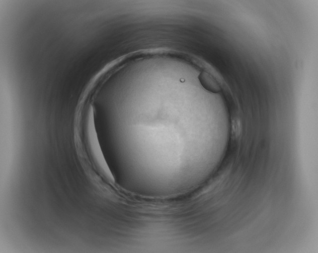 X0000113750724200910071105