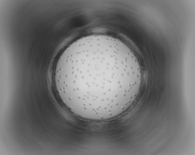 X0000113750725200910071105