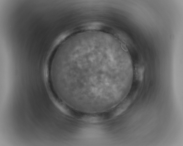 X0000113750726200910071105