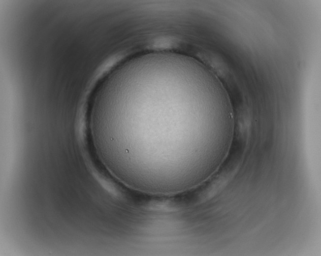 X0000113750728200910071105