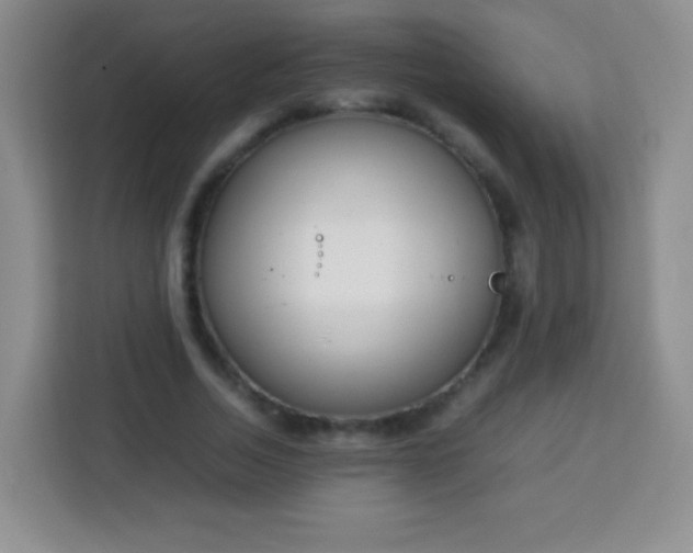 X0000113750730200910071105