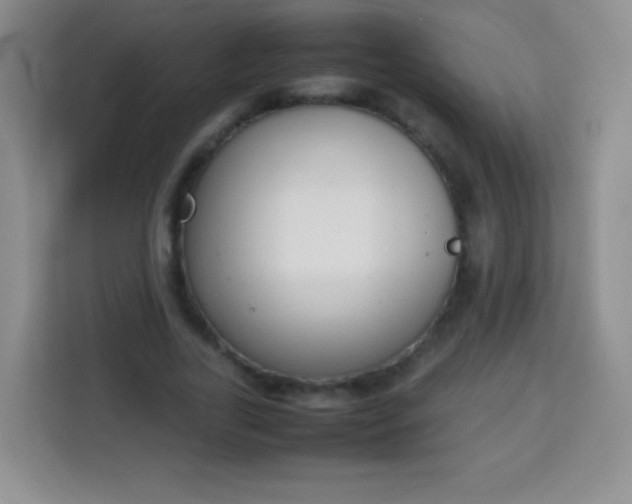 X0000113750731200910071105