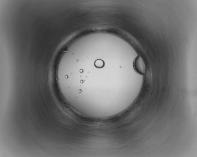 X0000113750732200910071105