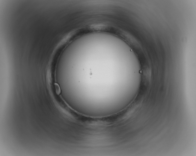 X0000113750734200910071105