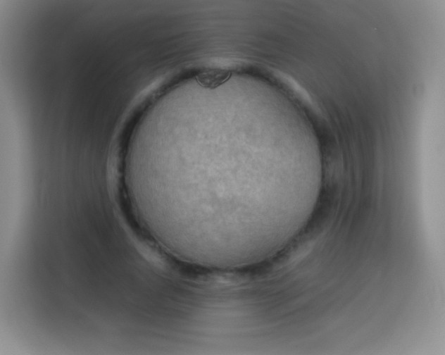 X0000113750736200910071105