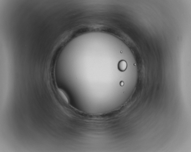 X0000113750738200910071105