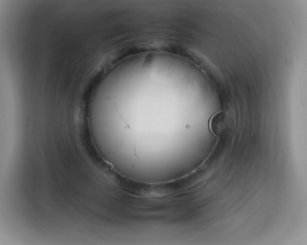 X0000113750739200910071105