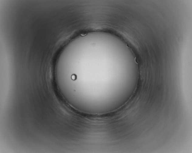 X0000113750740200910071105