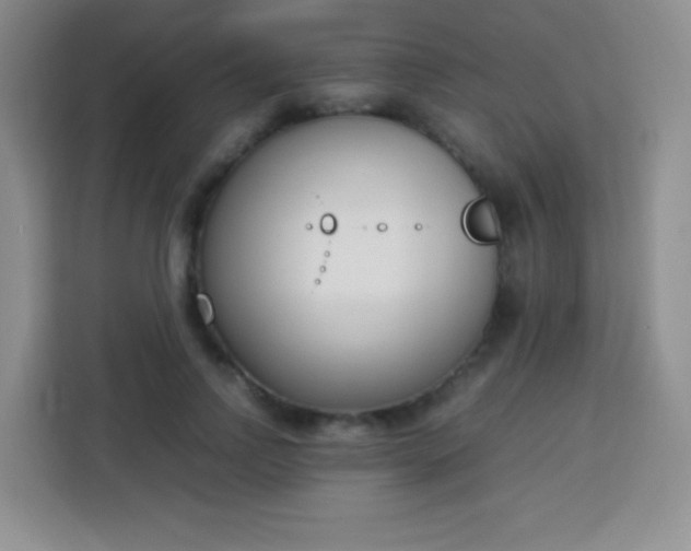 X0000113750742200910071106