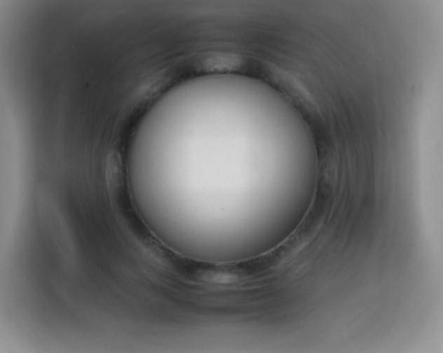 X0000113750743200910071106