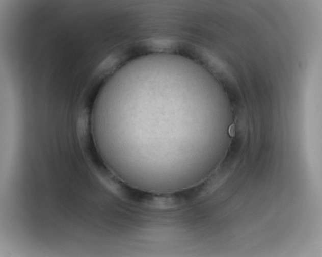 X0000113750744200910071106