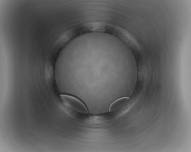 X0000113750748200910071106