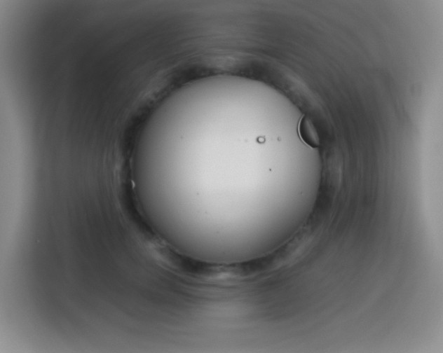 X0000113750750200910071106