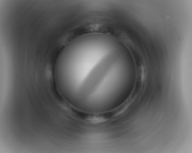 X0000113750754200910071106