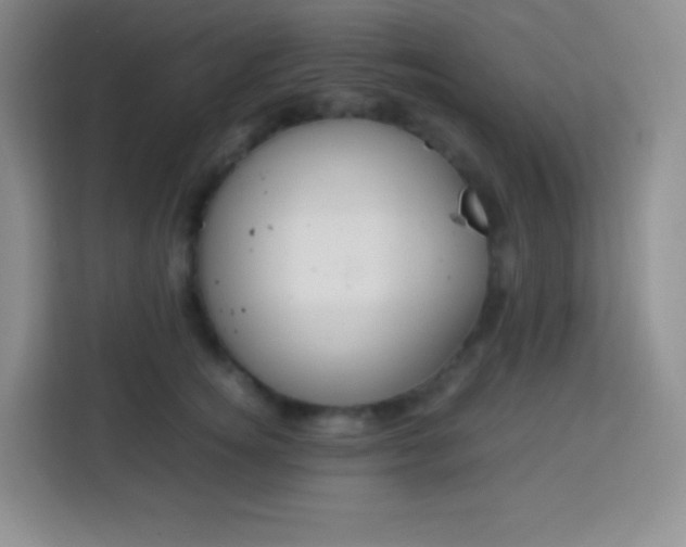 X0000113750756200910071106