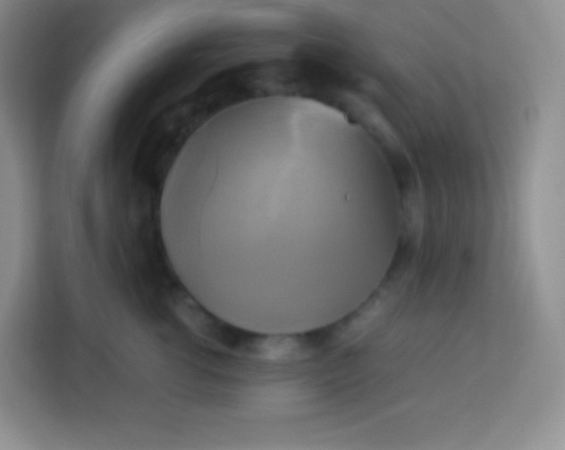 X0000113750762200910071106