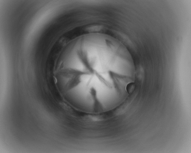 X0000113750763200910071106