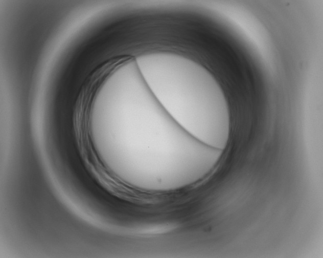 X0000113750765200910071106