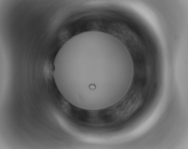 X0000113750766200910071106