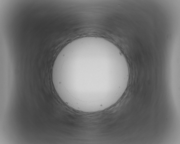 X0000113750769200910071105