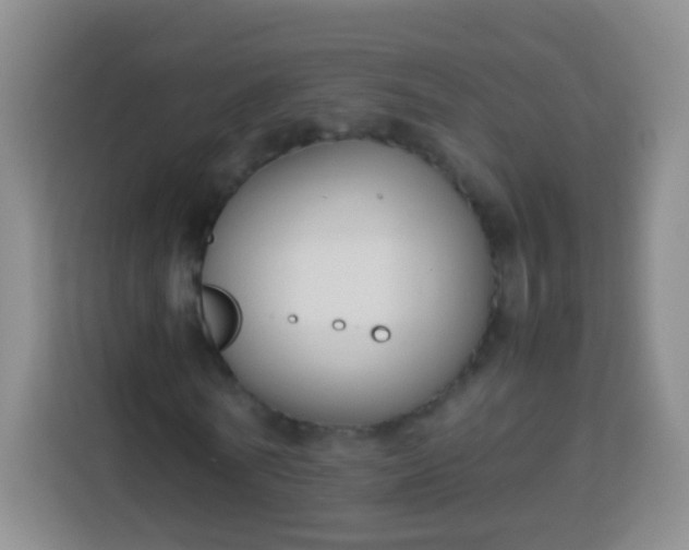 X0000113750770200910071105