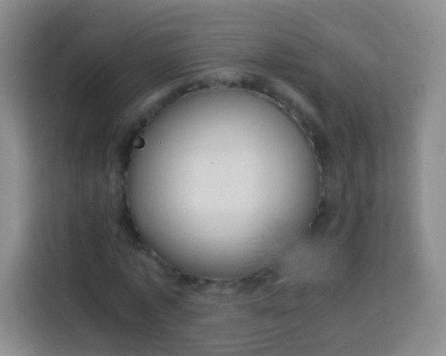 X0000113750773200910071105