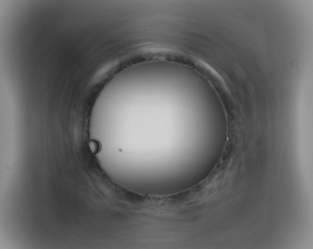 X0000113750775200910071105