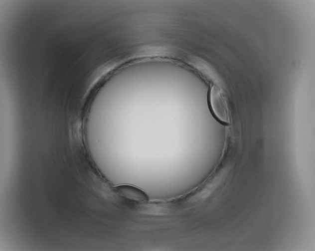 X0000113750781200910071105