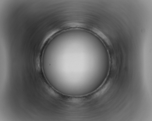 X0000113750782200910071105