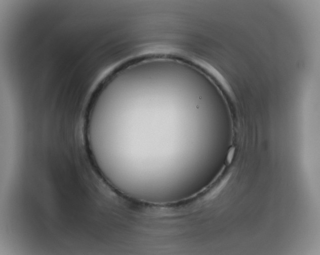 X0000113750783200910071105