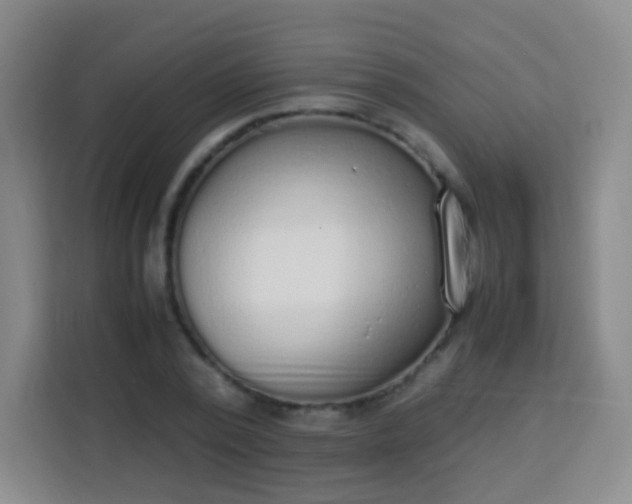 X0000113750784200910071105